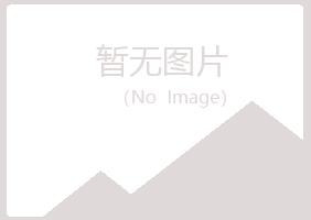 新龙县女孩能源有限公司